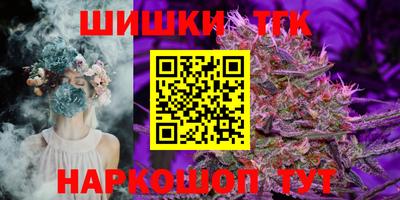 МДПВ Пенза