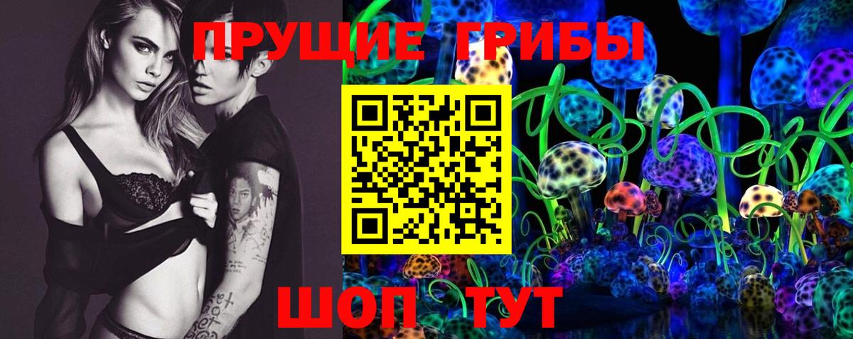 Псилоцибиновые грибы GOLDEN TEACHER  Вход с VPN  наркота  Георгиевск 